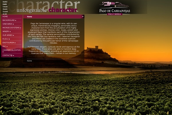tpSunrise theme site design template sample