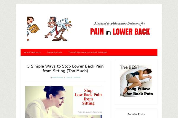 Lifestyle Pro theme site design template sample