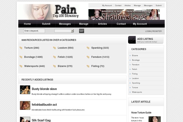 Directorypress theme site design template sample