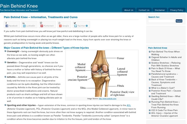 Shades of Blue theme site design template sample