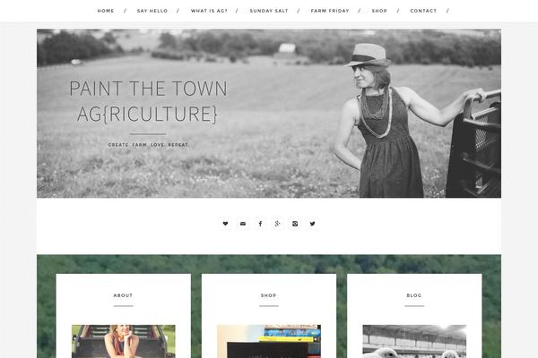 paintthetownag.com site used Restored316-style
