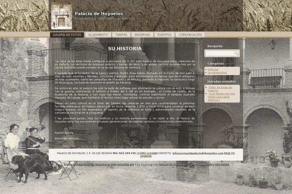 Site using Language Bar Flags plugin