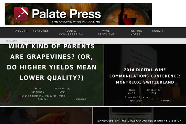 Valenti Child theme site design template sample