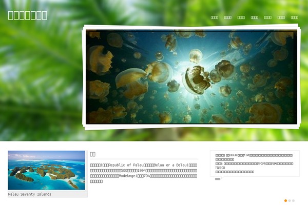 Midway theme site design template sample