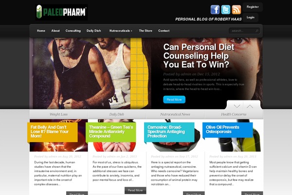 TheSource theme site design template sample