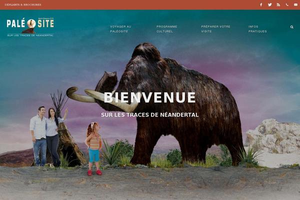Site using Mailjet for WordPress plugin