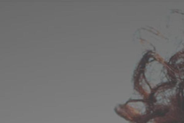 Pallas theme site design template sample