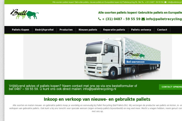 Alterna theme site design template sample