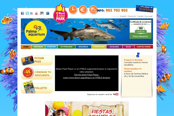 palmaaquarium.com site used Hs-starter-theme
