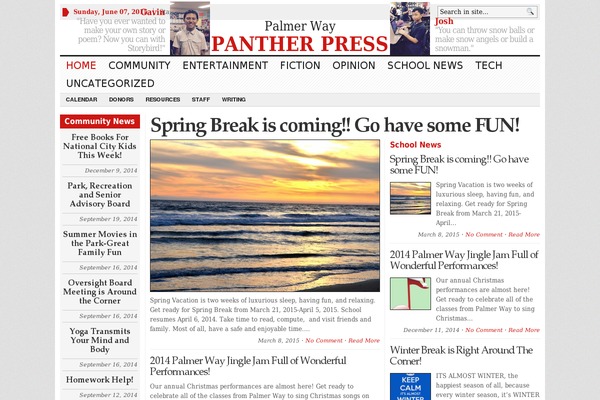 WP Newspaper theme site design template sample