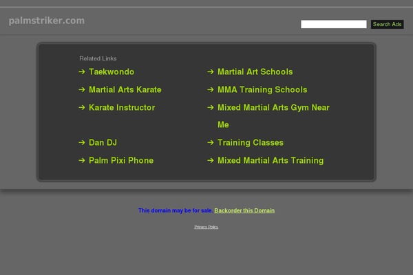 palmstriker.com site used Palm