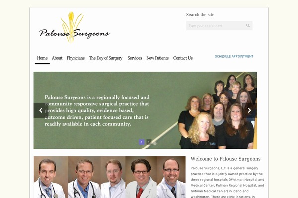 Tanjun theme site design template sample