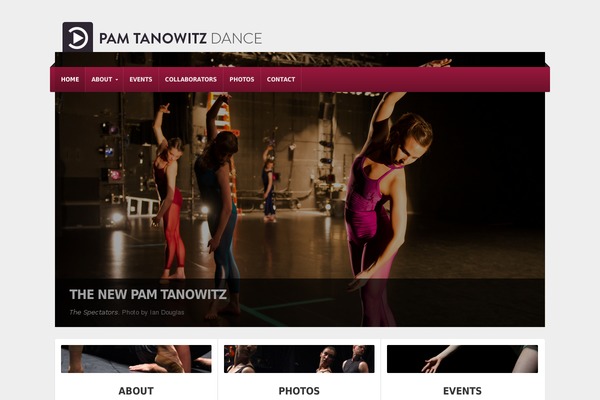 NonProfit theme site design template sample