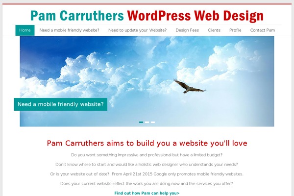 Accelerate Pro theme site design template sample