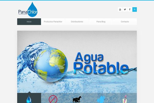 Capture theme site design template sample