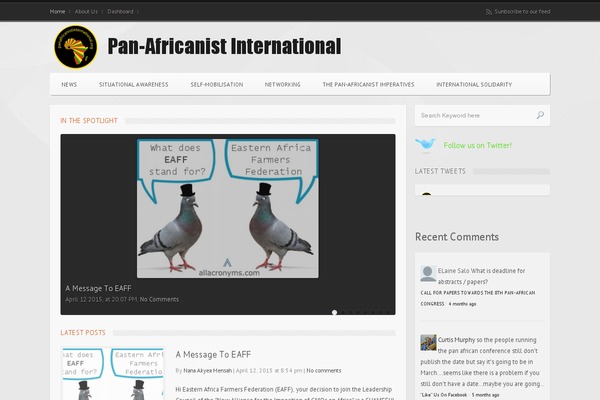 Widezine theme site design template sample