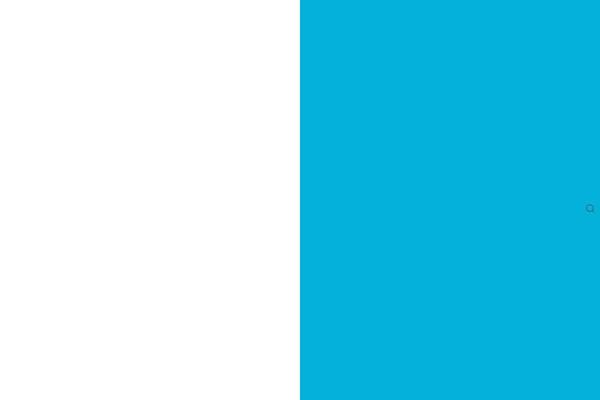 panamagemcharters.com site used Newspaper