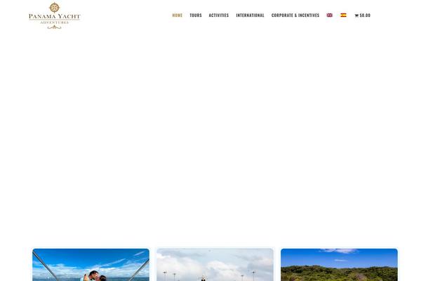 Bridge theme site design template sample