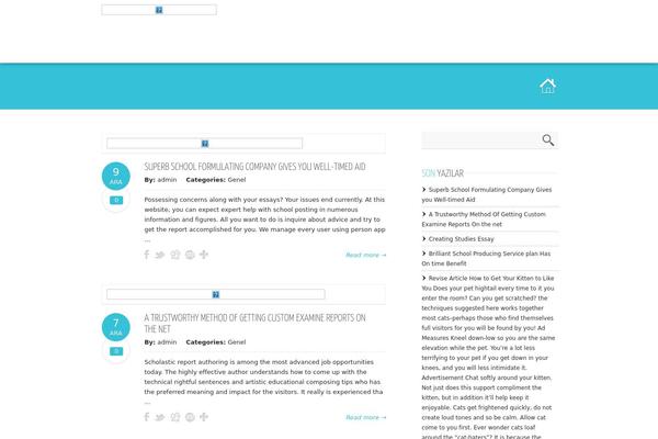 Mercor theme site design template sample