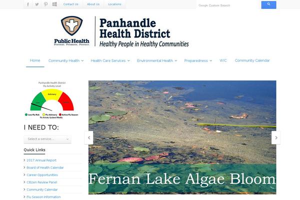 HEALTHFLEX theme site design template sample