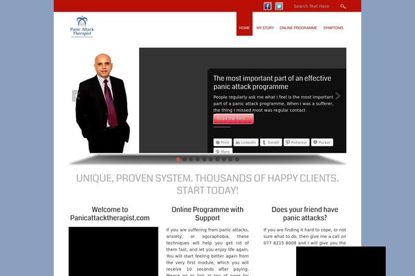 Small-business-pro theme site design template sample