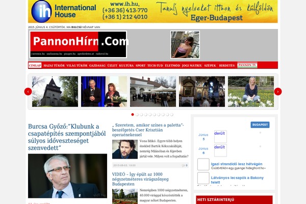 Tribune theme site design template sample