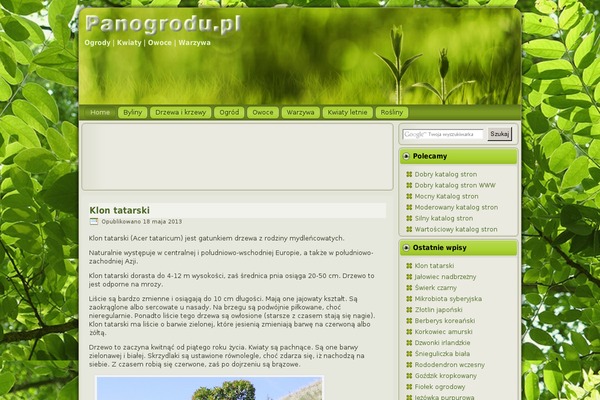 HappenStance theme site design template sample