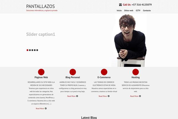 SKT IT Consultant theme site design template sample