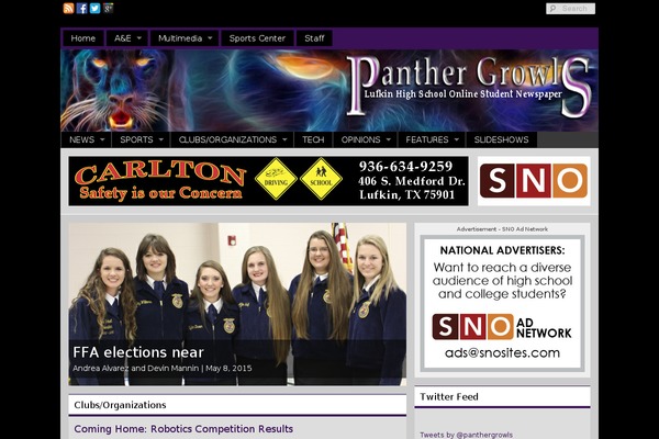 Sno Flex theme site design template sample