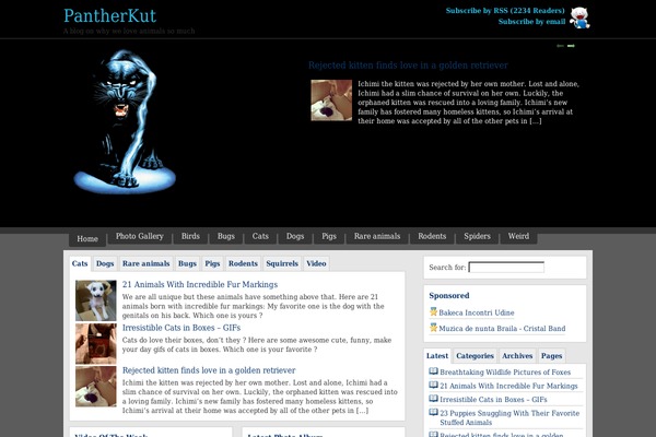 pantherkut.com site used Pantherkut