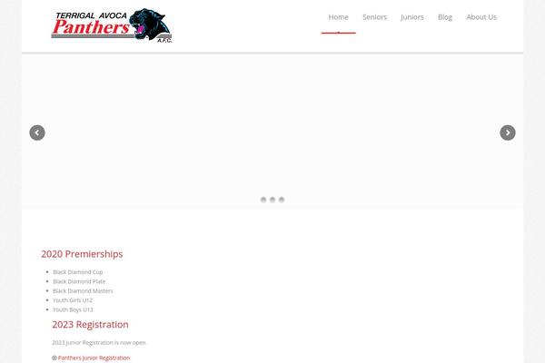 Astrum theme site design template sample