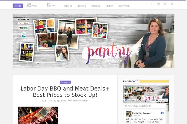 Designer theme site design template sample