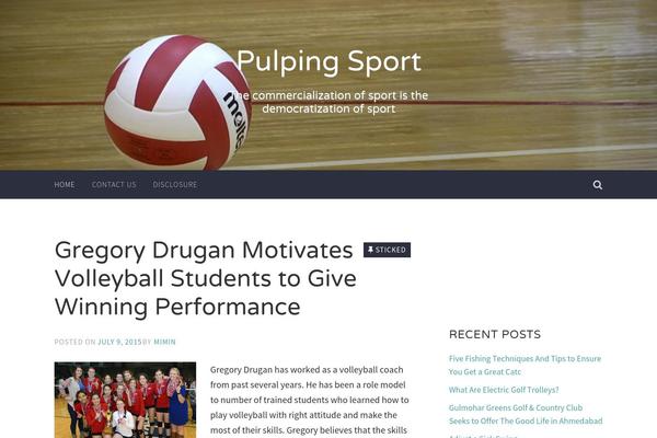 Accent theme site design template sample