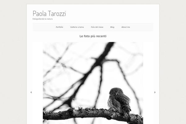 Origami theme site design template sample