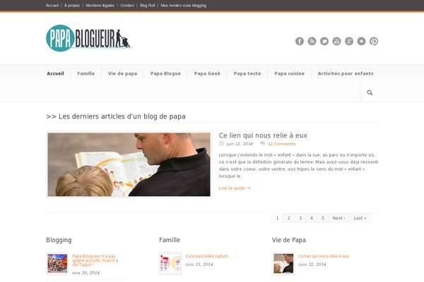 Veen theme site design template sample