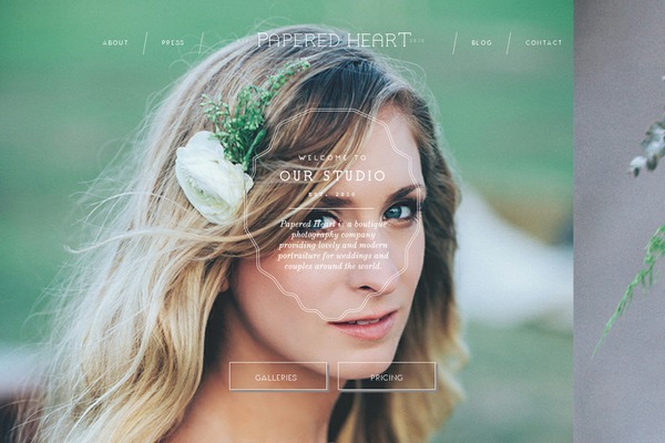 Site using Akismet plugin