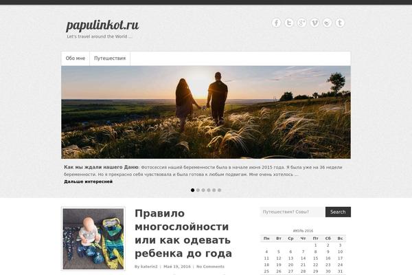 Simple Catch Pro theme site design template sample