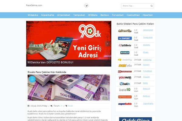 Blog theme site design template sample