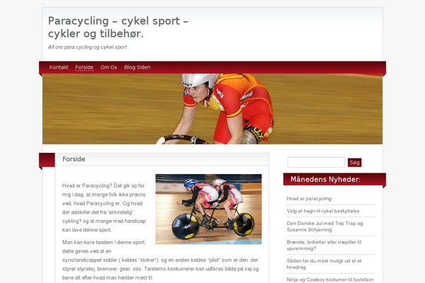BlogoLife theme site design template sample
