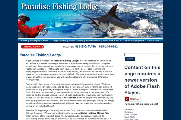 Paradise theme site design template sample