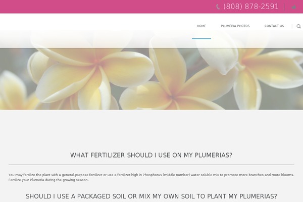 paradiseplumeria.com site used Circles