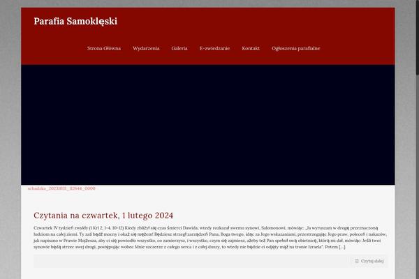 Site using WP Latest Posts plugin