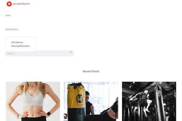 paragonbjj.net site used Setto