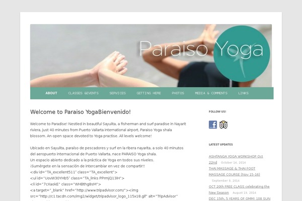 Skelementor theme site design template sample