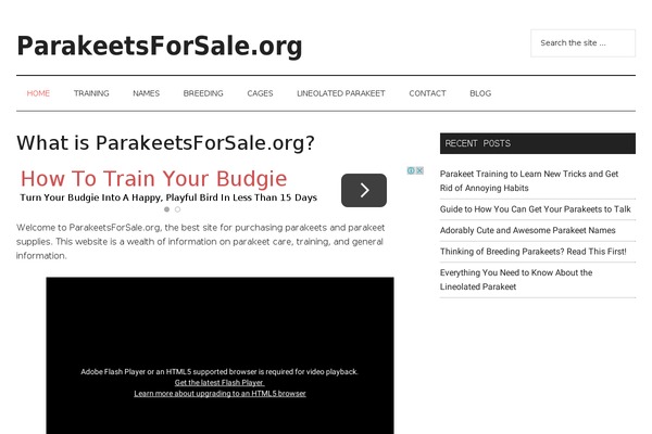 Magazine Pro theme site design template sample