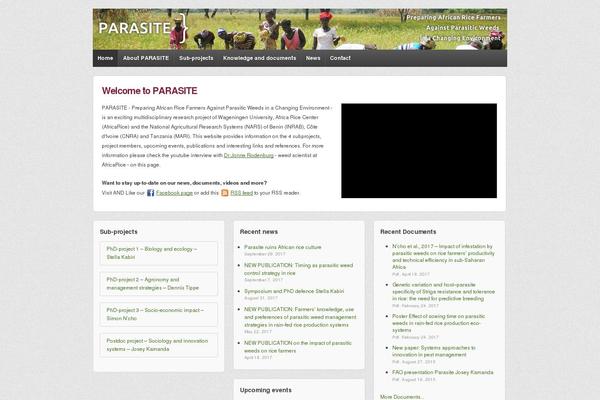 Site using Latest Custom Post Type Updates plugin