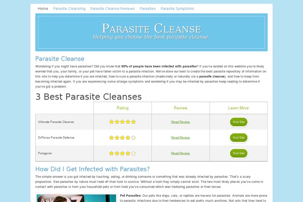 Lifestyle theme site design template sample