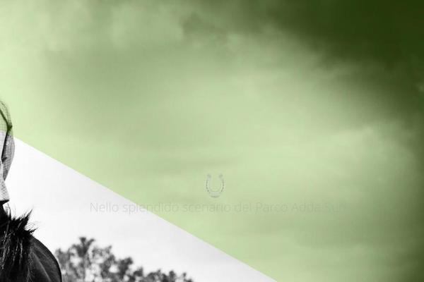 Oneup theme site design template sample