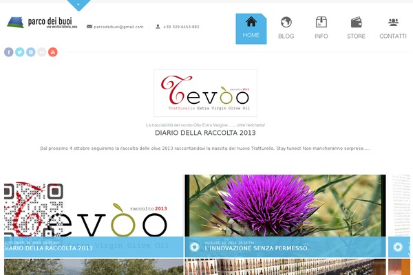 Site using Crumina_slider plugin