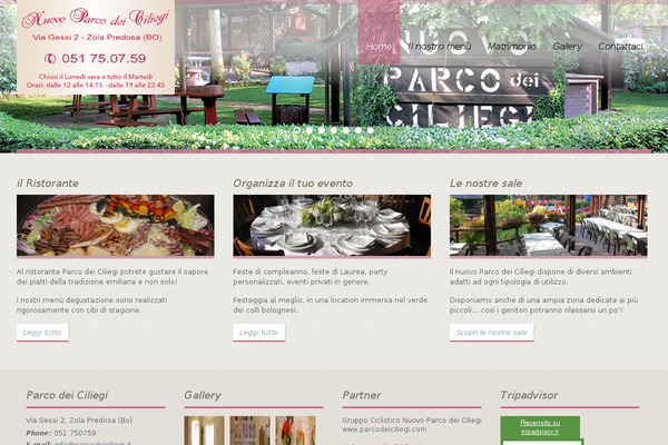 White Rock theme site design template sample
